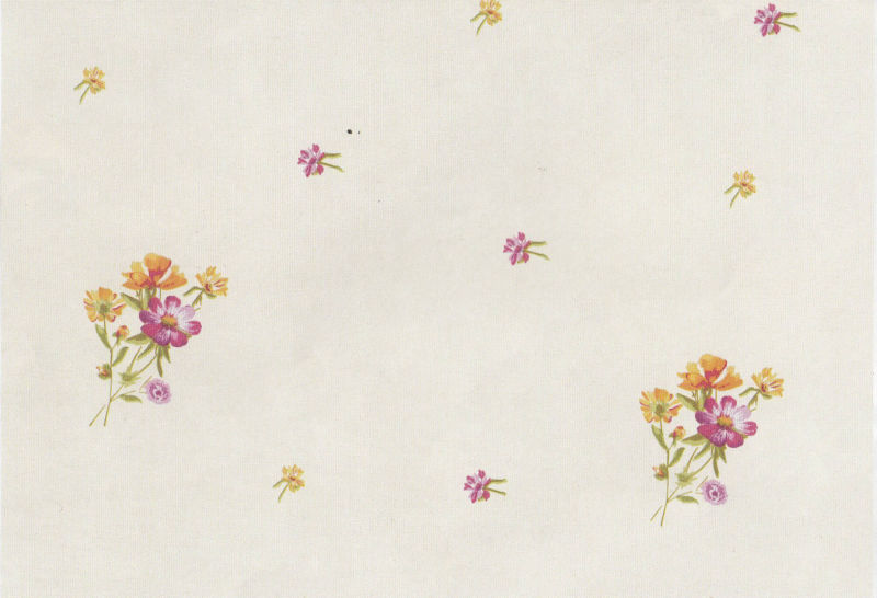 ΔΙΟΜΑΧΗ -2913