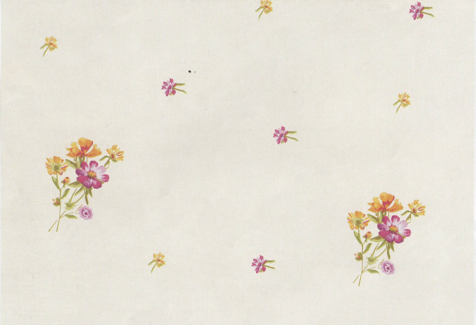 ΔΙΟΜΑΧΗ -2913